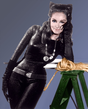 Julie Newmar Catwoman